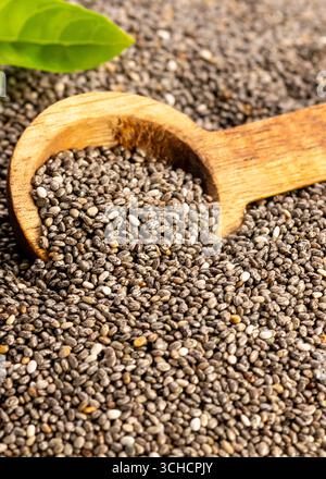 Holzlöffel gefüllt mit Chiasamen auf einem Bett aus Samen, repräsentiert gesunde Ernährung, Superfoods, und natürliche Zutaten.Close up mit Kopierraum Stockfoto