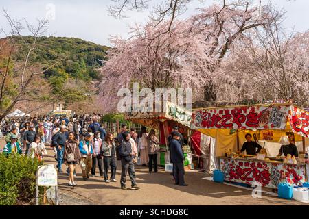 Kyoto, Japan. Die Menschenmassen versammeln sich, um die Kirschblüten unter dem berühmten weinenden Sakura mit Festivalständen im Maruyama Park zu beobachten. Stockfoto