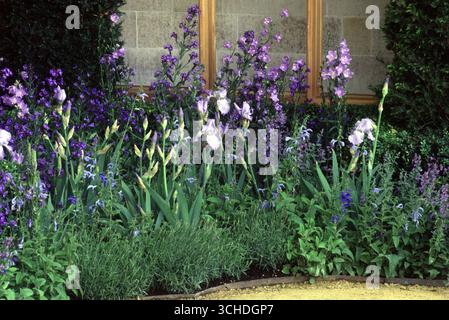 Leuchtende lila Blumen wachsen in einem üppigen Garten neben einer Steinmauer und zeigen die Schönheit der Natur unter hellem Sonnenlicht. Stockfoto
