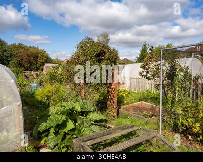Hölzerner Gartenbogen, der mit Kletterpflanzen und Blumen bewachsen ist, in einem britischen Kleingarten.“ Stockfoto