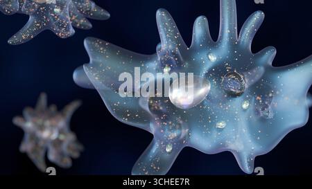 3D-Darstellung einer Amöbe, eines einzelligen Organismus. Sie wird vor einem dunklen Hintergrund präsentiert, der den durchscheinenden Körper der Amöbe hervorhebt. Stockfoto