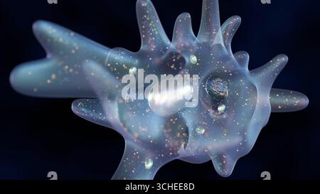 3D-Darstellung einer Amöbe, eines einzelligen Organismus. Sie wird vor einem dunklen Hintergrund präsentiert, der den durchscheinenden Körper der Amöbe hervorhebt. Stockfoto