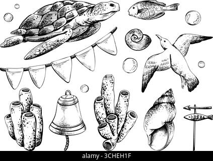 Handgezeichnete Strichgrafik-Illustration von Schildkröte, Korallen, Muscheln, Fahnen und Möwe. Marine-Kollektion mit schwarzer Tinte mit Blasen und nautischen Elementen, perfekt Stock Vektor