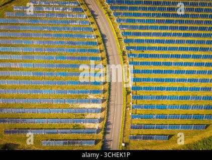 Blick von oben auf den großen Solarpark, der durch Straßen geteilt ist und die Erzeugung sauberer, erneuerbarer Energie darstellt Stockfoto