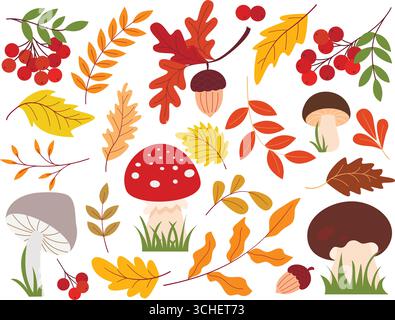 Naturwaldelemente Set. Pilze, vogelbeeren, Eicheln, Baumzweige und Blätter Clip-Art-Sammlung. Illustrationen zur Herbstsaison isoliert auf weiß Stock Vektor