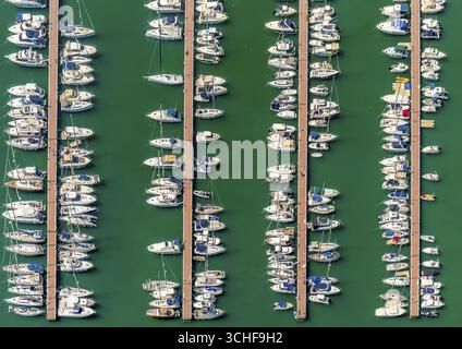 Luftaufnahme, Hafen von Alcudia, Yachthafen, Segelboote, Port d'Alcudia, türkisblaues Wasser, Alcudia, Pla de na Tesa, Cabaneta (Sa), Mallorca, Balear Stockfoto