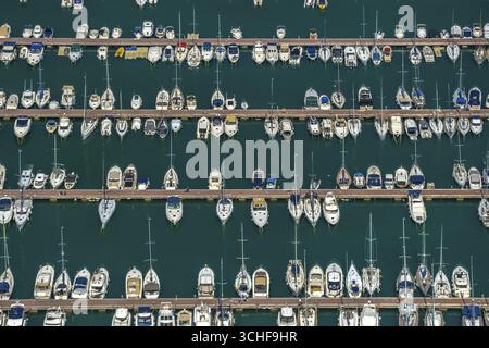 Luftaufnahme, Hafen von Alcudia, Yachthafen, Segelboote, Port d'Alcudia, türkisblaues Wasser, Alcudia, Pla de na Tesa, Cabaneta (Sa), Mallorca, Balear Stockfoto
