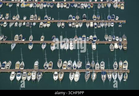 Luftaufnahme, Hafen von Alcudia, Yachthafen, Segelboote, Port d'Alcudia, türkisblaues Wasser, Alcudia, Pla de na Tesa, Cabaneta (Sa), Mallorca, Balear Stockfoto