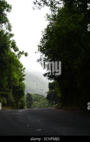 Die Straße schlängelt sich durch einen tropischen Wald auf den Seychellen, mit nebeligen Wolken, die im Hintergrund über den Bäumen hängen. Stockfoto