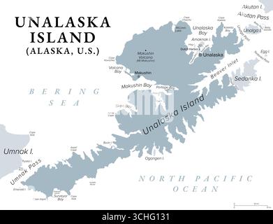 Unalaska Island, Alaska, USA, graue politische Karte. Teil der Fox Islands und Aleutian Islands. Stockfoto