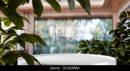 Naturkosmetisches Thema mit leerer Plattform für Produktpräsentationen, weißer Bühne umgeben von tropischen Pflanzen in einem hellen, modernen, umweltfreundlichen Ambiente Stockfoto