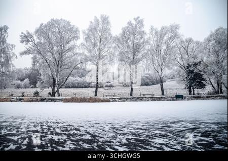 Schneebedeckte Bäume und Felder umgeben einen ruhigen eisigen Teich und schaffen eine ruhige Winterlandschaft, die in sanftes, kaltes Sonnenlicht getaucht ist Stockfoto