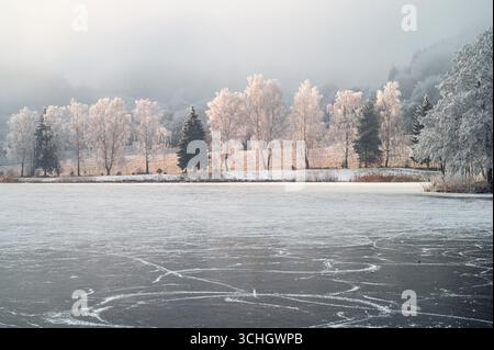 Ein ruhiger Wintermorgen auf dem gefrorenen See, umgeben von Schnee und nebeliger Weihnachtsruhe Stockfoto