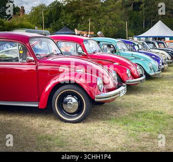 Eine farbenfrohe Reihe restaurierter, originaler Volkswagen Käfer Typ 1, die auf einer Oldtimer-Ausstellung im Freien gezeigt werden Stockfoto