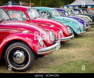 Eine farbenfrohe Reihe restaurierter, originaler Volkswagen Käfer Typ 1, die auf einer Oldtimer-Ausstellung im Freien gezeigt werden Stockfoto