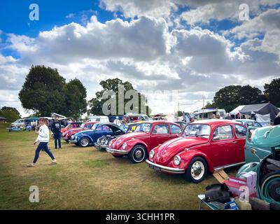 Eine farbenfrohe Reihe restaurierter, originaler Volkswagen Käfer Typ 1, die auf einer Oldtimer-Ausstellung im Freien gezeigt werden Stockfoto