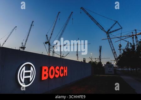 Dresden, Deutschland. 31. August 2025. Auf der Baustelle der neuen Halbleiterfabrik von TSMC, Robert Bosch GmbH und Infineon Technologies in Dresden, 31. August 2025, heben sich Krane im Abendlicht hervor. Quelle: dpa/Alamy Live News Stockfoto