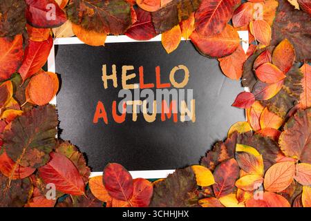 Farbenfrohe Herbstblätter in Rot-, Orange- und Gelbtönen, auf denen die Worte Hello Herbstlaub stehen, sorgen für warme und einladende jahreszeitliche Atmosphäre Stockfoto