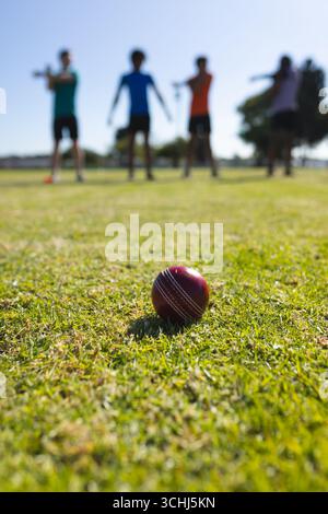 Roter Cricketball auf grünem Grasfeld unter blauem Himmel mit vier Teamkollegen Stockfoto