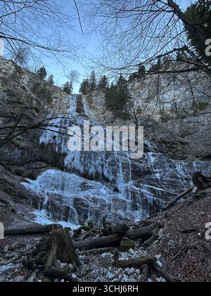 Gefrorener Wasserfall, der im Winter in einem bewaldeten Berggebiet über eine felsige Klippe stürzt, mit Eiszapfen und schneebedeckten Felsen, Österreich. Stockfoto