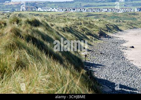 Marramgras und Sanddünen an der Küste von Runkerry oder Buschfuß Strand Runkerry Strand portballintrae Causeway Coast County antrim Nord-Irelan Stockfoto