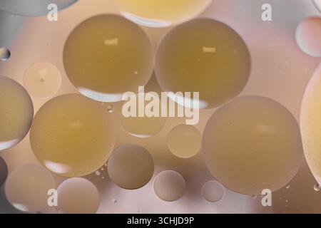 Beige Öltröpfchen unterschiedlicher Größe schweben in Flüssigkeit und überlagern sich in kreisförmigen Formen mit weichen Reflexionen auf neutralem Hintergrund, die in Makros erfasst werden. Stockfoto