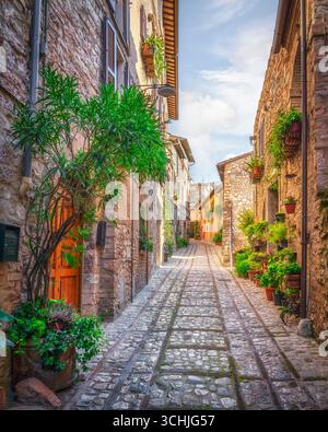 Malerische mittelalterliche Gasse im historischen Zentrum von Spello mit Steinbauten, Topfpflanzen und traditioneller Architektur in Umbrien Stockfoto