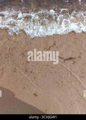 Ruhige Strandszene mit sanften Wellen und Sandstrand Stockfoto