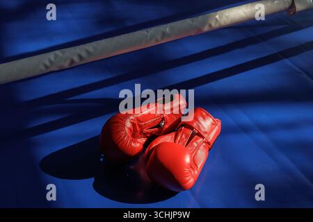 Ein Paar rote Boxhandschuhe auf einer blauen Ringmatte mit starken Schatten, perfekt für das Training von Sport- und Wettkampfkonzepten mit Platz zum Kopieren. Stockfoto