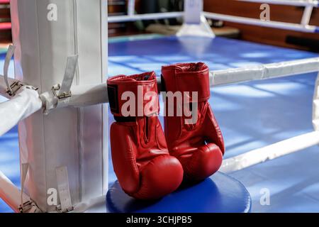 Rote Boxhandschuhe auf einer Ringecke mit blauem Canvas und weißen Seilen, perfekt für Training, Wettkampf und Fitnesskonzepte mit sauberem Copy sp Stockfoto