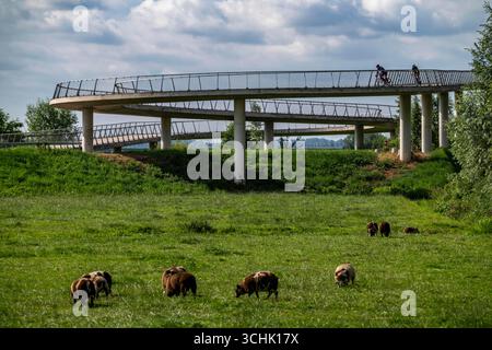 Rampe auf den Liniebrug, eine Fahrrad- und Fußgängerbrücke über den Amsterdam-Rhein-Kanal in der Nähe des Dorfes Nigtechtew, die den Schifffahrtskanal bei überspannt Stockfoto