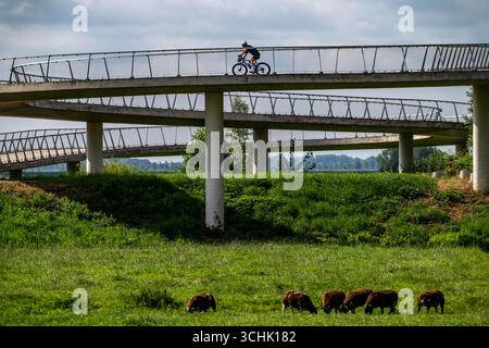 Rampe auf den Liniebrug, eine Fahrrad- und Fußgängerbrücke über den Amsterdam-Rhein-Kanal in der Nähe des Dorfes Nigtechtew, die den Schifffahrtskanal bei überspannt Stockfoto