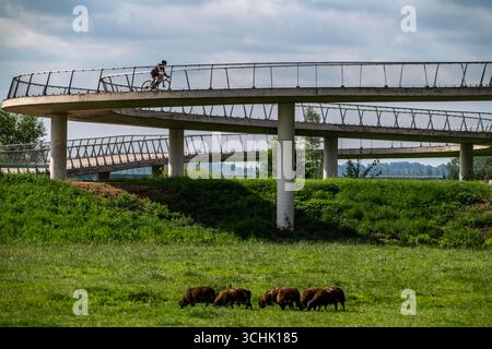 Rampe auf den Liniebrug, eine Fahrrad- und Fußgängerbrücke über den Amsterdam-Rhein-Kanal in der Nähe des Dorfes Nigtechtew, die den Schifffahrtskanal bei überspannt Stockfoto