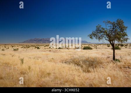Das Brandbergmassiv ist der höchste Gipfel Namibias Stockfoto