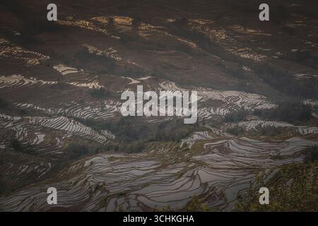 Die Reisterrassen am Standort Bada in Yuanyang County, China. Bada Reisterrassen umfassen eine Fläche von 950 Hektar mit über 3700 Ebenen, die von 800 ME steigen Stockfoto