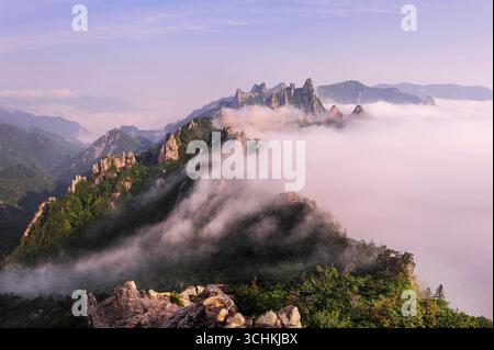 Berggipfel erheben sich bei Sonnenaufgang über dicken Wolken und enthüllen atemberaubende natürliche Schönheit und ruhige Landschaften im frühen Morgenlicht. Stockfoto