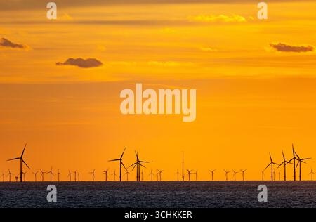 Zahlreiche Windkraftanlagen, die saubere Energie in der Nordsee erzeugen, die sich vor einem leuchtenden, orangefarbenen Sonnenuntergangshimmel in der Nähe von Egmond aan Zee, Niederlande, Stockfoto