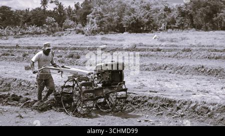 Landwirt, der auf Reisfeldern mit Handtraktoren arbeitet, traditionelle landwirtschaftliche Tätigkeit auf dem Land. Yogyakarta, Indonesien - 1. Dezember 2013 Stockfoto