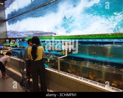 Shopper wählen Live Seafood im Supermarket Tanks, Shandong, China Stockfoto