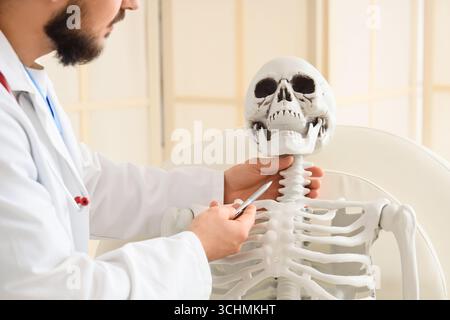 Männlicher Arzt untersucht menschliches Skelettmodell auf Couch in der Klinik, Nahaufnahme Stockfoto