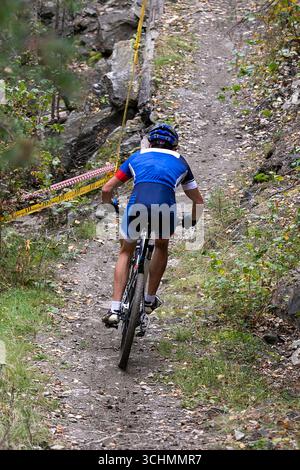 Radfahrer mit Rückansicht, die beim Mountainbike-Wettkampf auf einem Waldweg bergauf fahren Stockfoto