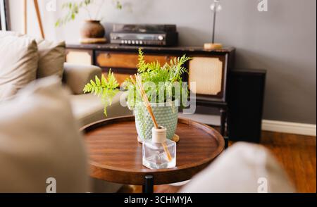 Gemütliches Wohnzimmer mit Topfpflanzen und Schilfdiffusor auf Holztisch, zu Hause Stockfoto