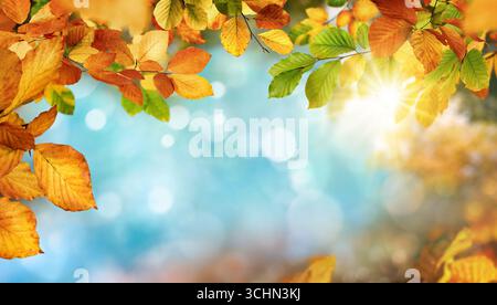 Farbenfroher Herbsthintergrund mit roten, gelben und grünen Blättern, die blaue Bokeh-Highlights als Kopierraum einrahmen. Eine wunderschöne Karte oder Kulisse für die Saison. Stockfoto