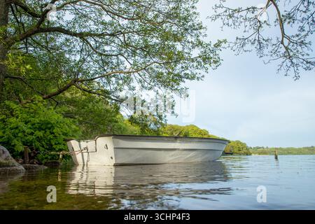 Ruderboot leer auf See mit ruhigem Wasser und Wald dahinter, meditatives Bootsbild, Kopierraum Stockfoto