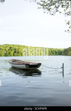 Ruderboot leer auf See mit ruhigem Wasser und Wald dahinter, meditatives Bootsbild, Kopierraum Stockfoto