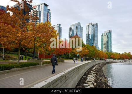 Vancouver, Kanada – 25. Oktober 2020 – Coal Harbor Autumn Seawall Spaziergang Vancouver. Herbstfarben im Coal Harbour entlang der Ufermauer. Stockfoto