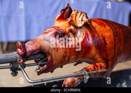 Ein junges Schwein wird auf einer Spucke über Kohlen gebraten. Stockfoto