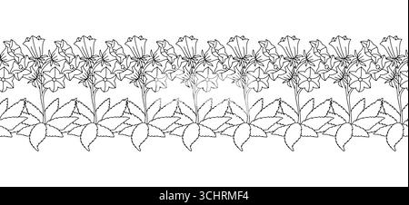 Streifenmuster mit schwarz-weißen Strichgrafiken, Blumen der kanarischen Inseln Glockenblume. Horizontaler, nahtloser Rand mit einfarbigem, handgezeichnetem Design Stock Vektor