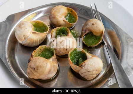 Im Ofen gebackene Schnecken mit Petersilie-Knoblauchbutter aus Burgund als einfache Vorspeise in einer französischen Restaurant-Bouillon in Toulouse oder Paris aus der Nähe serviert Stockfoto