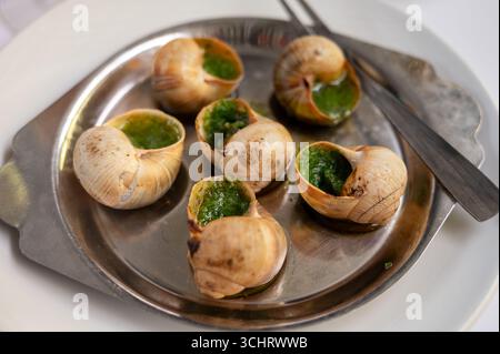 Im Ofen gebackene Schnecken mit Petersilie-Knoblauchbutter aus Burgund als einfache Vorspeise in einer französischen Restaurant-Bouillon in Toulouse oder Paris aus der Nähe serviert Stockfoto